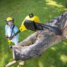 Best Weed Control  in Bunker Hill, OR
