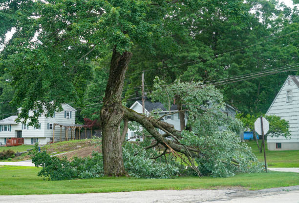 Best Arborist Consultation Services  in Bunker Hill, OR